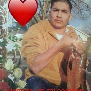 Meet your Posher, Norma